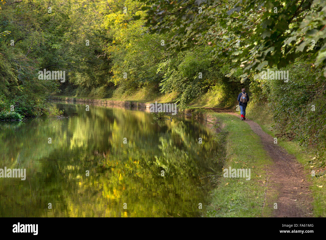 Camminando sulla strada alzaia Grand Union Canal Tring Hertfordshire Foto Stock