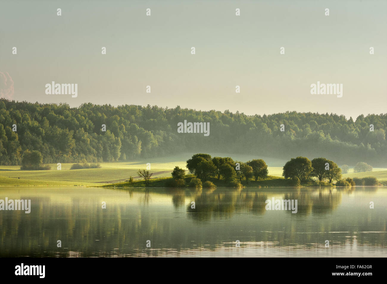 Serata primaverile. Il verde può. La molla Serata nebbia Foto Stock