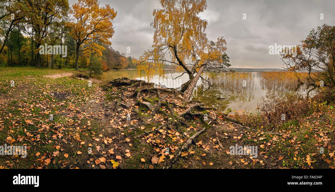 I colori dell'autunno, ottobre giorno nuvoloso. Panorama autunno Foto Stock