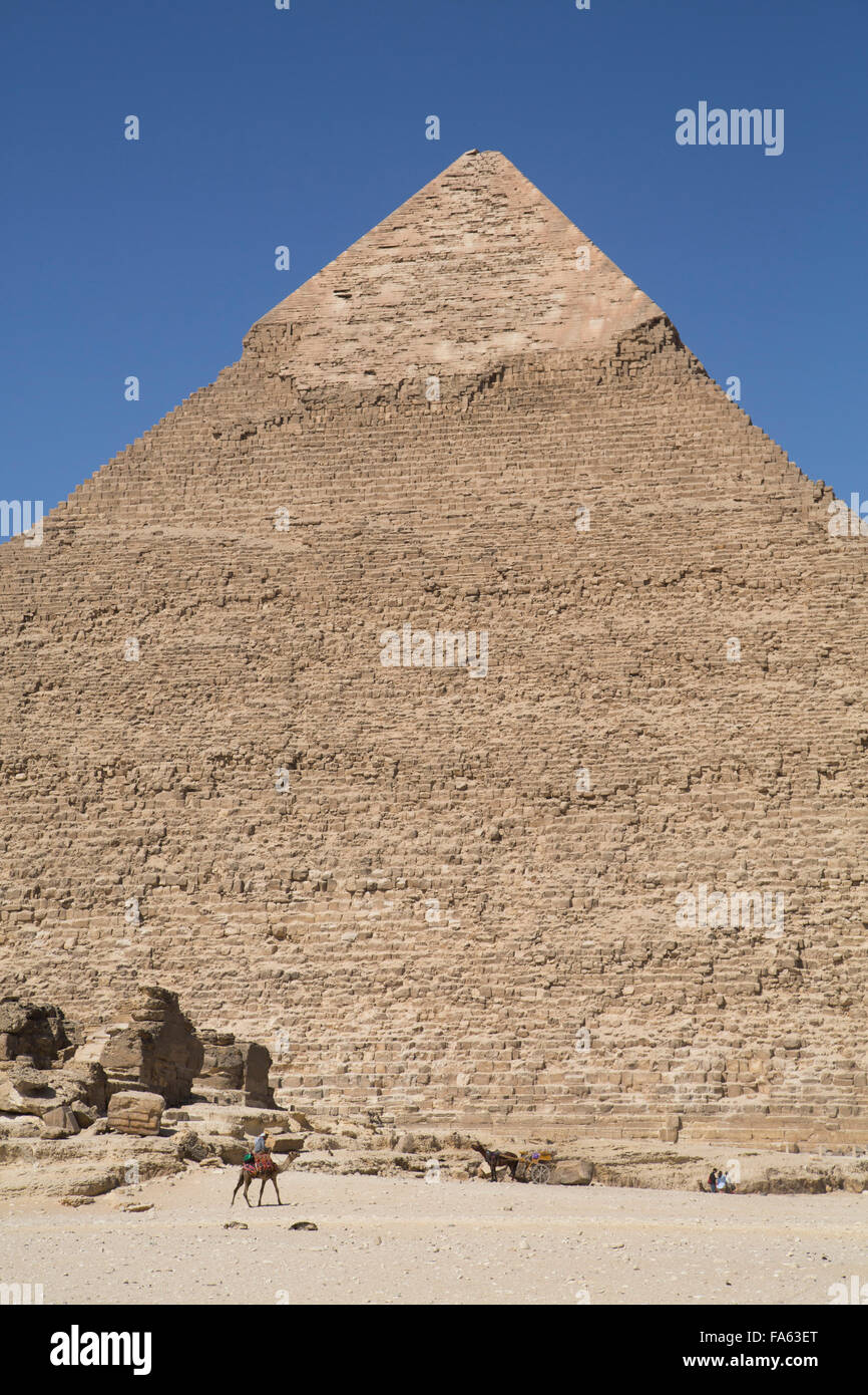Uomo locale sul cammello davanti alla Piramide di Chephren, le Piramidi di Giza, Sito Patrimonio Mondiale dell'UNESCO, Giza, Egitto Foto Stock