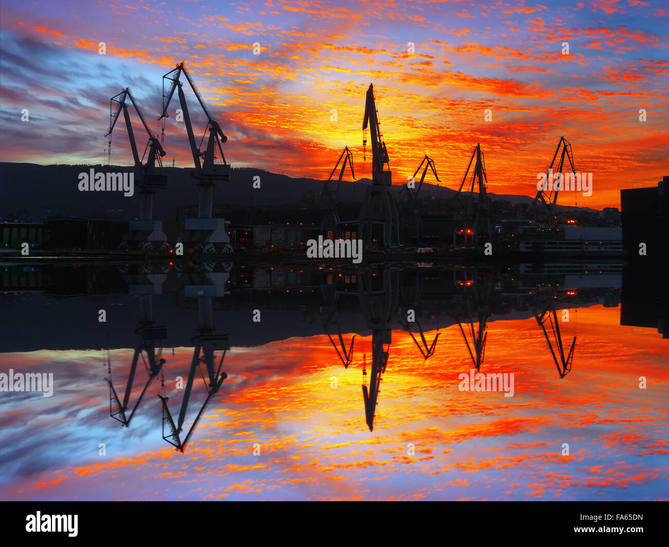 Gru in Sestao al bel tramonto Foto Stock
