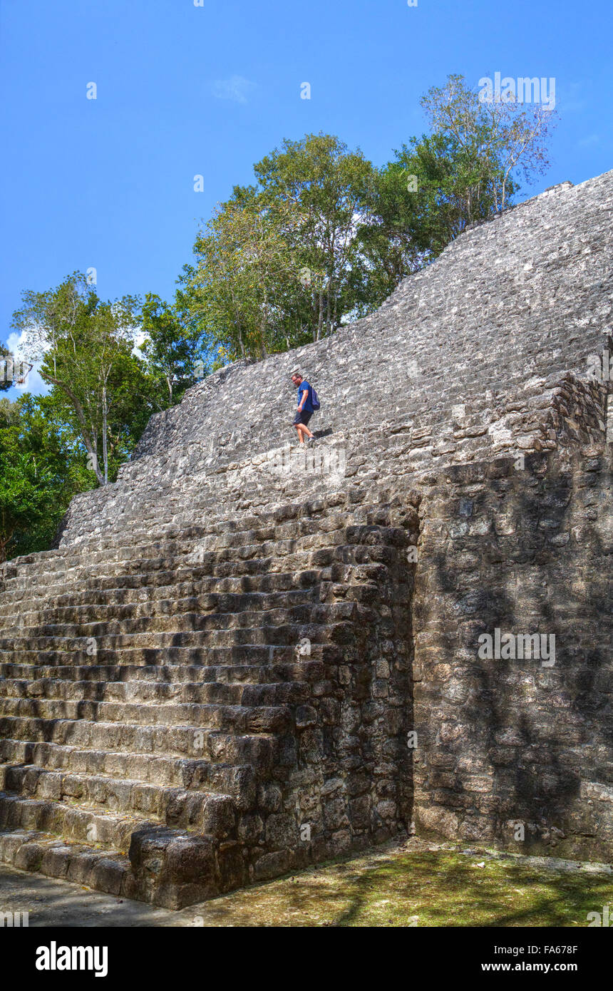 La struttura 1, Calakmul Maya sito archeologico, Campeche, Messico Foto Stock