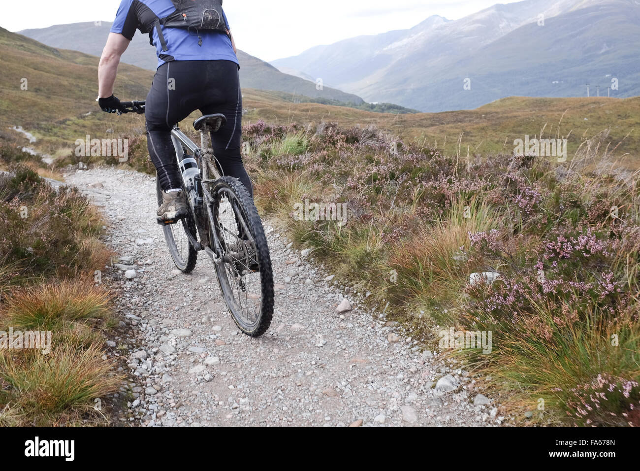 Uomo in mountain bike lungo il sentiero, altopiani, Scozia Foto Stock