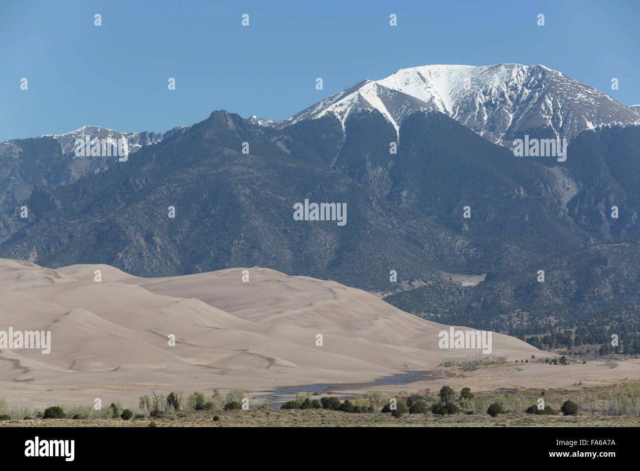 Grandi dune di sabbia del Parco Nazionale e preservare le dune di sabbia (in primo piano), Sangre Cristo Montagne (fondo), Colorado, STATI UNITI D'AMERICA Foto Stock