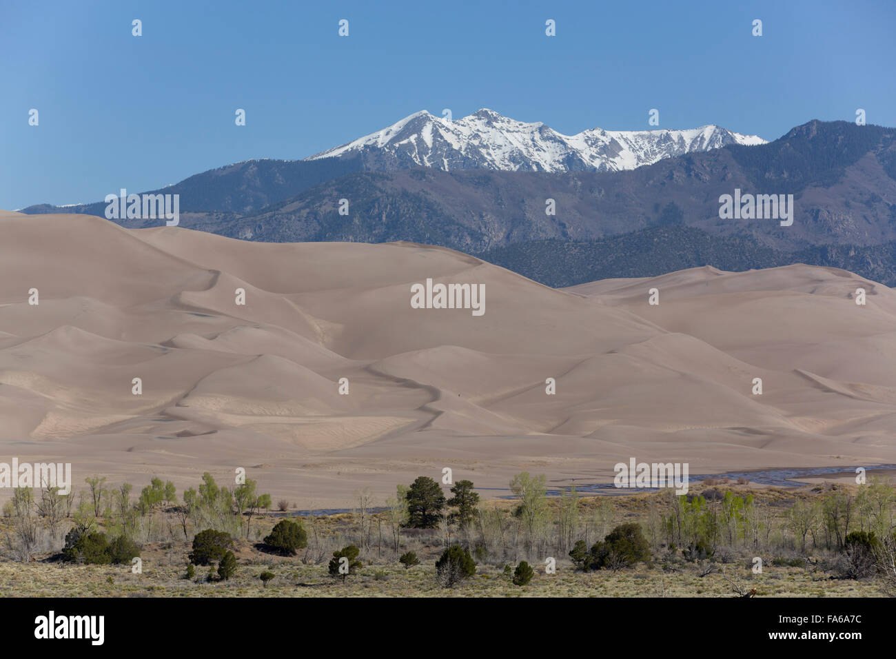 Grandi dune di sabbia del Parco Nazionale e preservare le dune di sabbia (in primo piano), Sangre Cristo Montagne (fondo), Colorado, STATI UNITI D'AMERICA Foto Stock