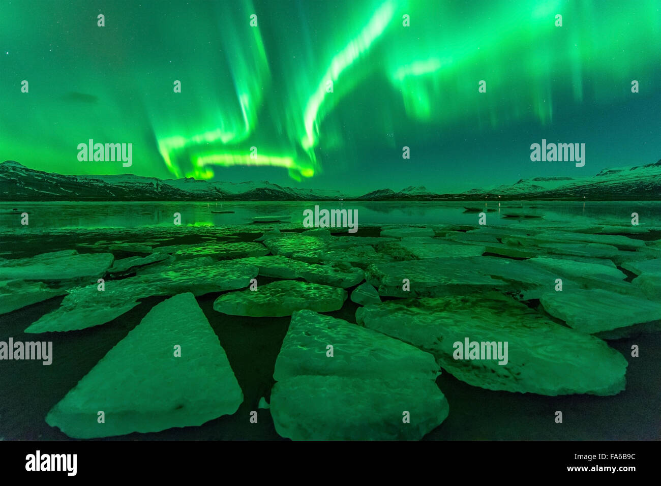 Luci del Nord (l'Aurora boreale, Jokulsarlon laguna, Islanda Foto Stock