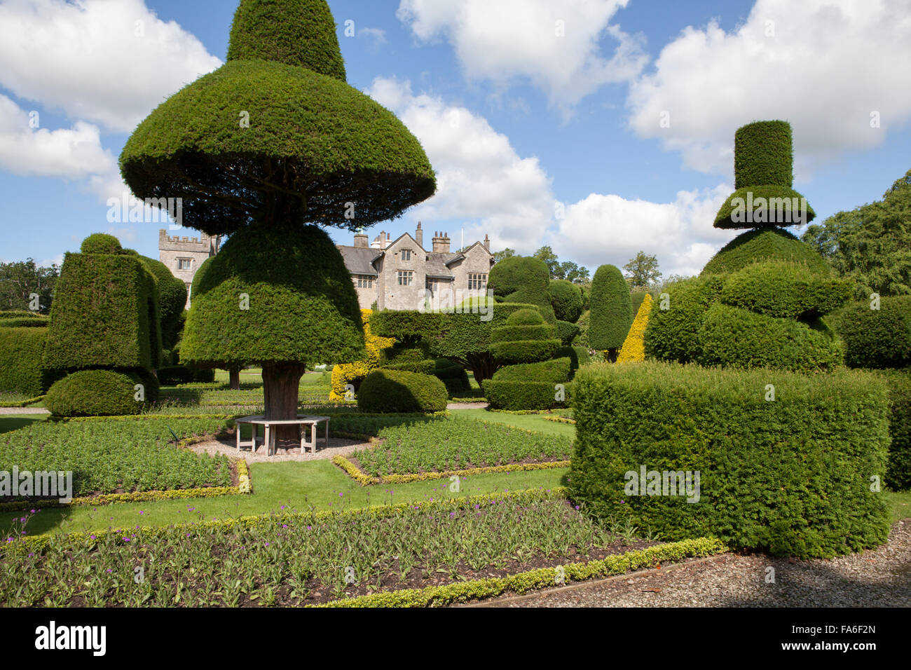 Topiaria da a Levens Hall nel distretto del lago, Inghilterra Foto Stock
