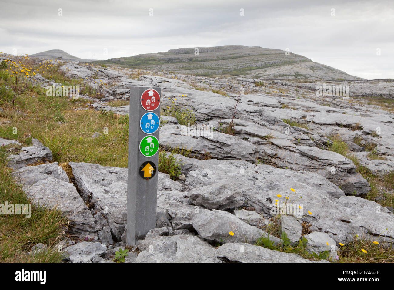 Più marcatori del percorso su un cuscinetto di roccia fossili, sul loop Mullaghmore a piedi in The Burren, County Clare, Irlanda Foto Stock