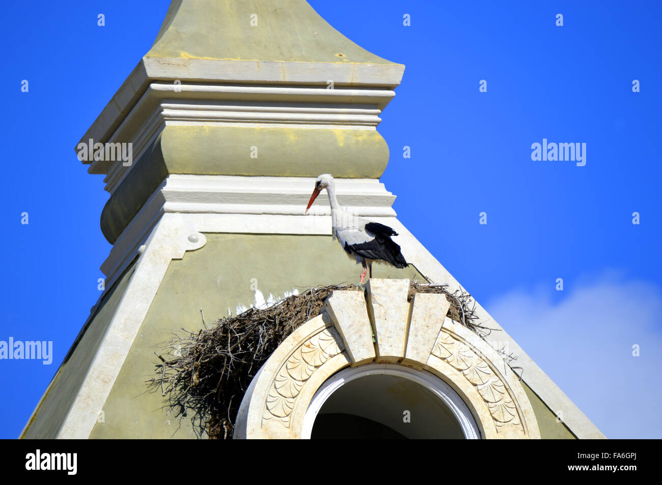 La nidificazione della cicogna sul tetto della parete circostante del Faro old town Foto Stock
