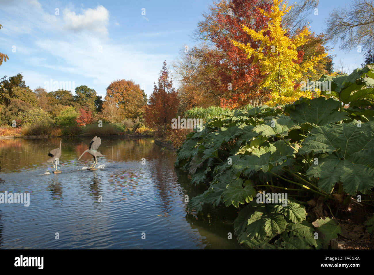 Un stagno circondato dai colori dell'autunno ad RHS Wisley in Surrey Foto Stock