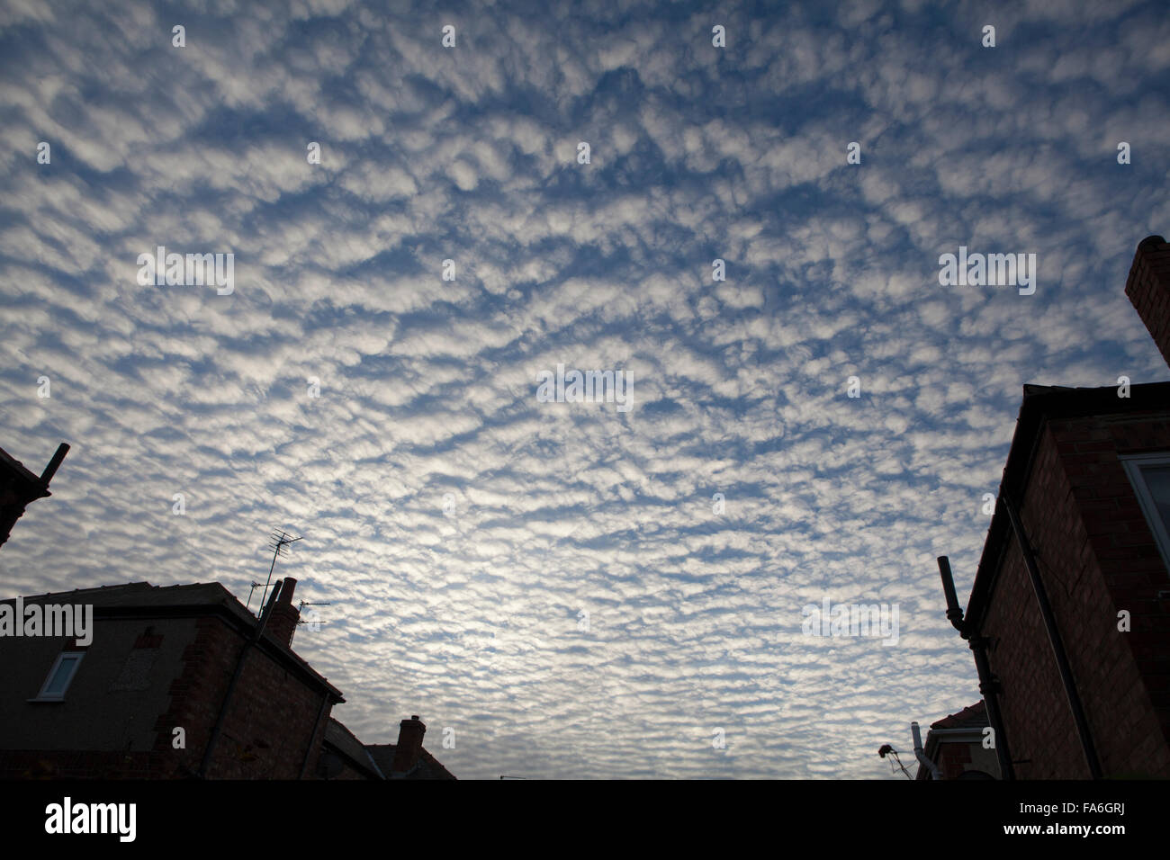 Altocumulus undulatus formazione delle nuvole è noto come un cielo sgombro Foto Stock