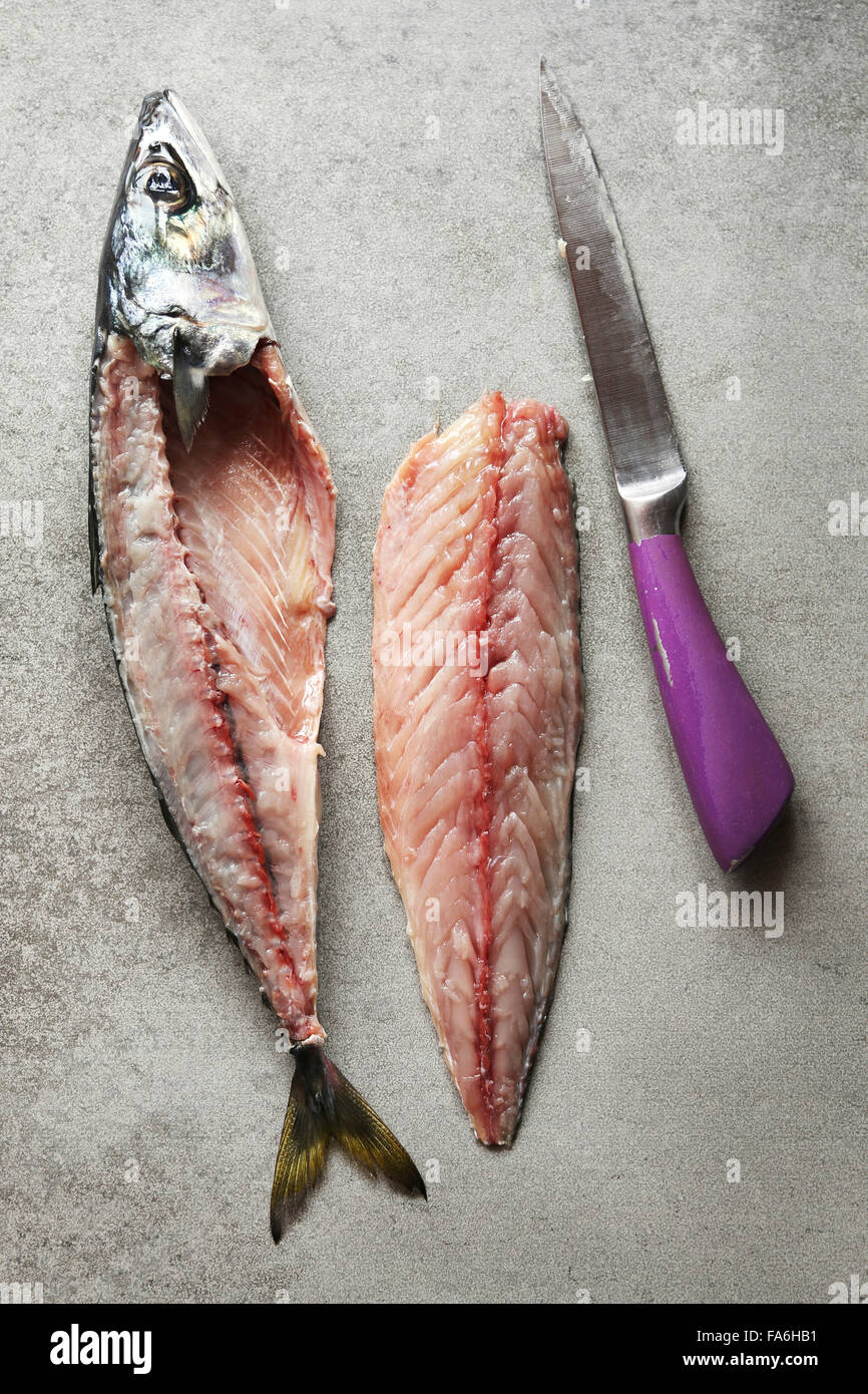 Sgombro filetto di pesce su sfondo grigio Foto Stock