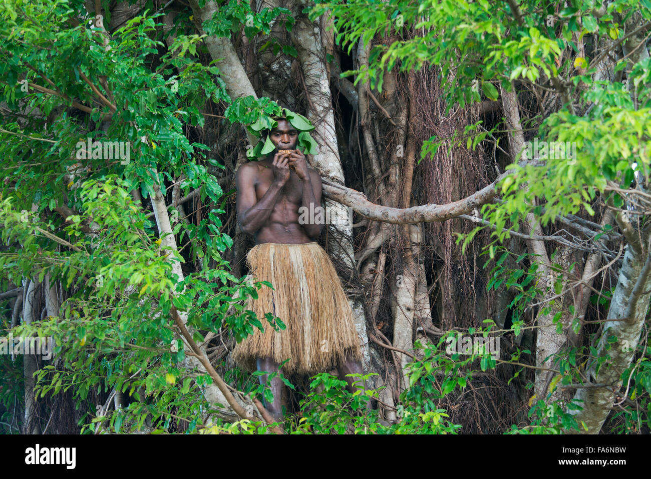 Uomo in abito tradizionale svolge flauto in arti di strangler fig tree, dell'isola di Tanna, Vanuatu, Melanesia Foto Stock