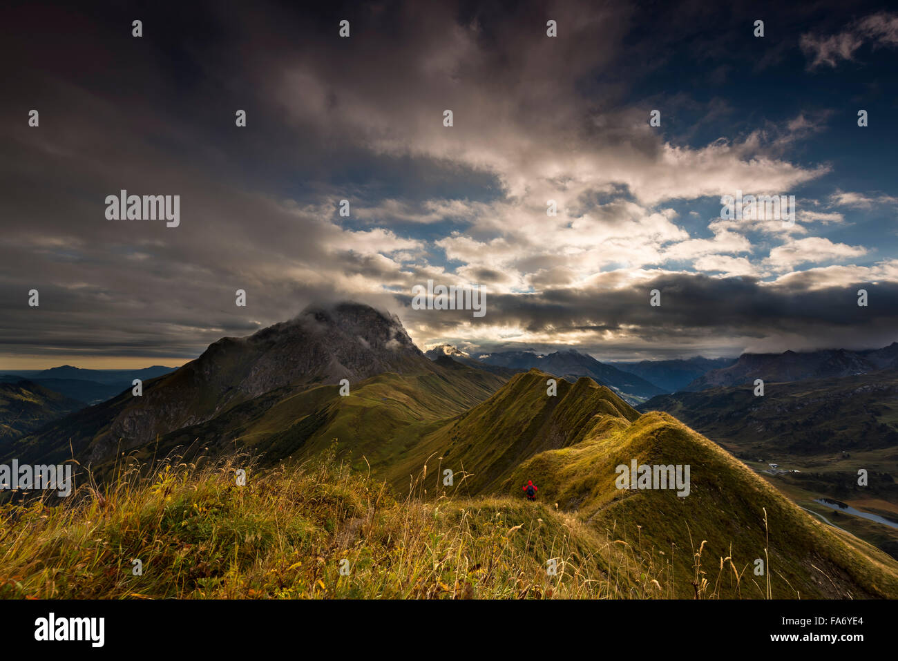 Scalatore sul vertice erbosa cresta, Algovia Alpi, Warth, Vorarlberg, Austria Foto Stock
