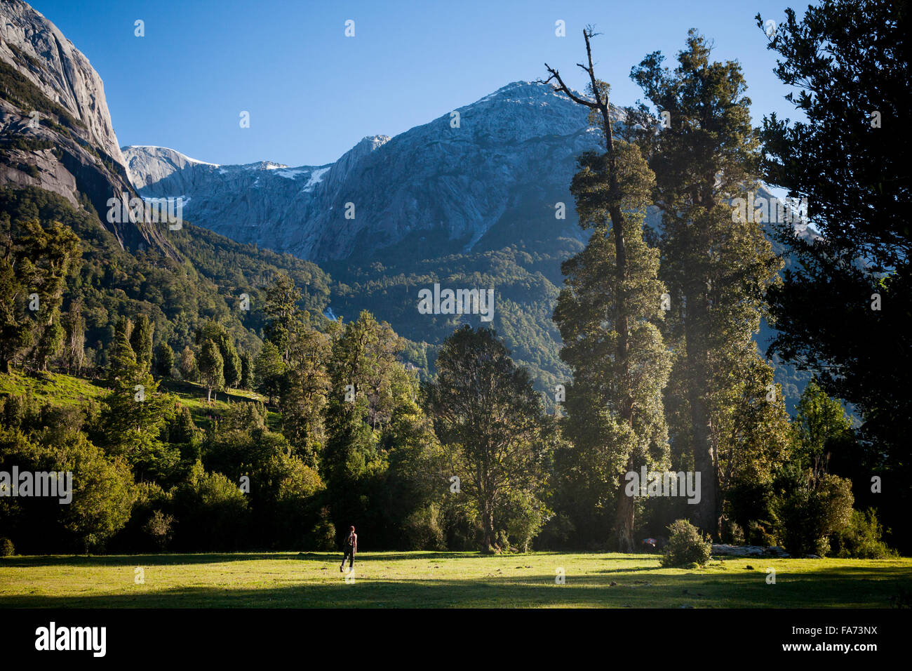 Escursionismo nel 4000 primordiale y.o. foreste della valle Cochamó - accessibile solo a piedi e circondato da torreggianti cupole in granito. Foto Stock