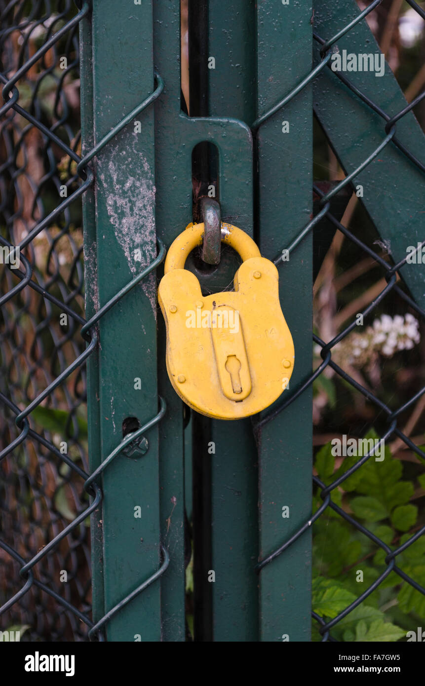 Verniciato giallo lucchetto su un green garden gate Foto Stock