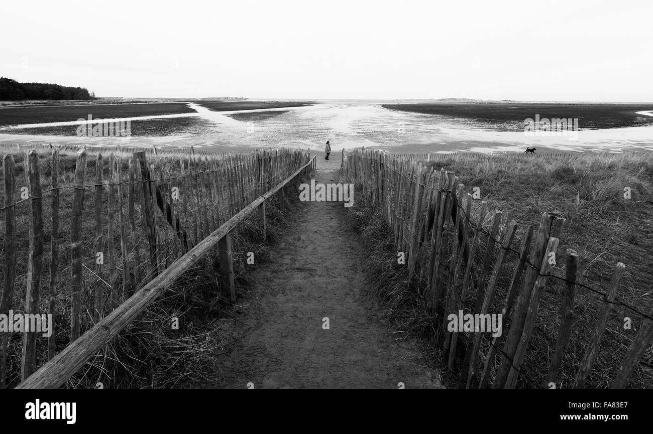 Una donna e un cane a piedi Holkham rotondo Bay sulla Costa North Norfolk. Foto Stock