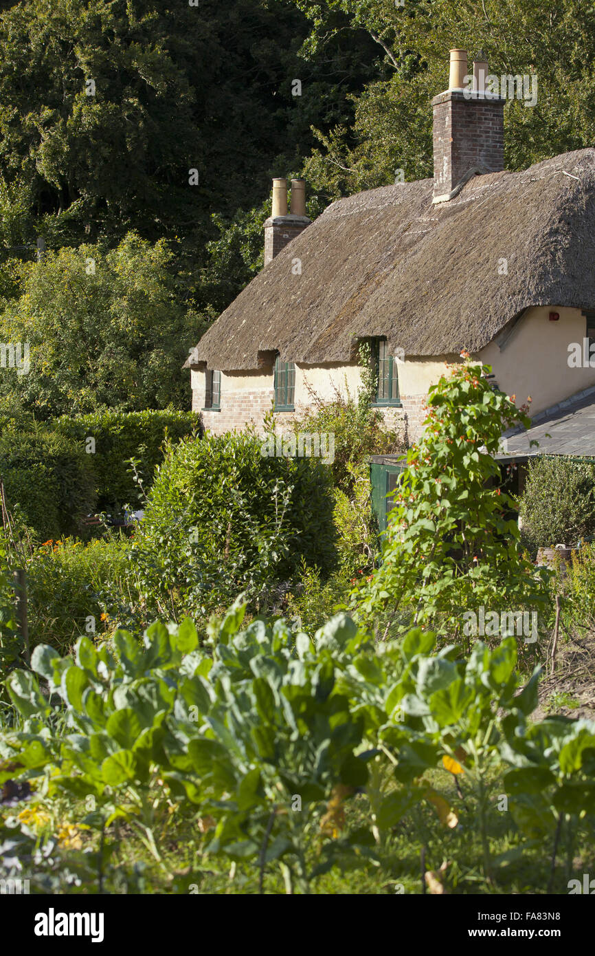 Il cottage vista dal giardino di Hardy's Birthplace, Dorset. Lo scrittore Thomas Hardy è nato a questo cottage in 1840. Foto Stock