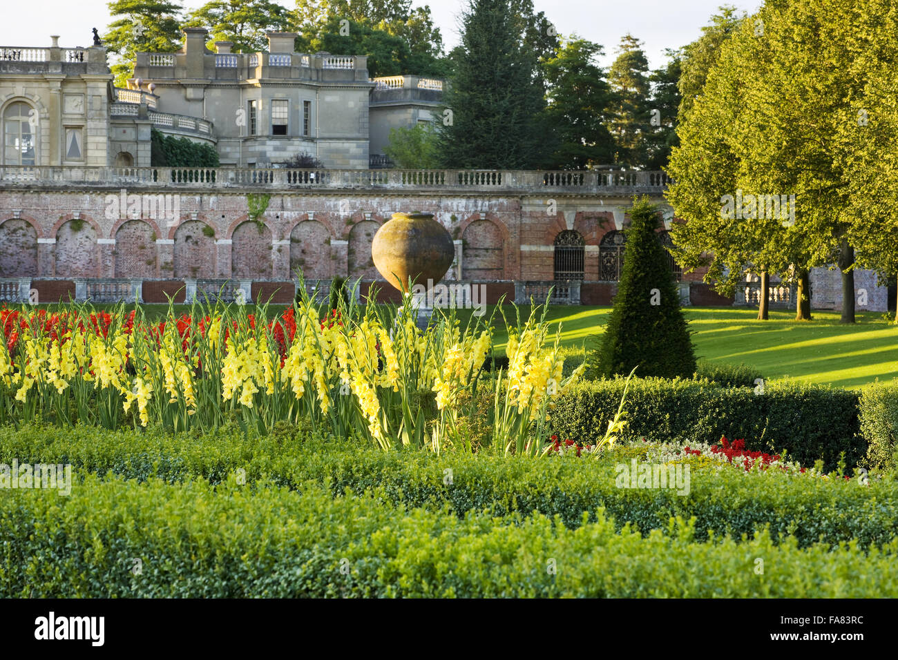 Il parterre a Cliveden, Buckinghamshire in agosto, nella luce della sera, con giallo gladioli e viste per la casa. Foto Stock