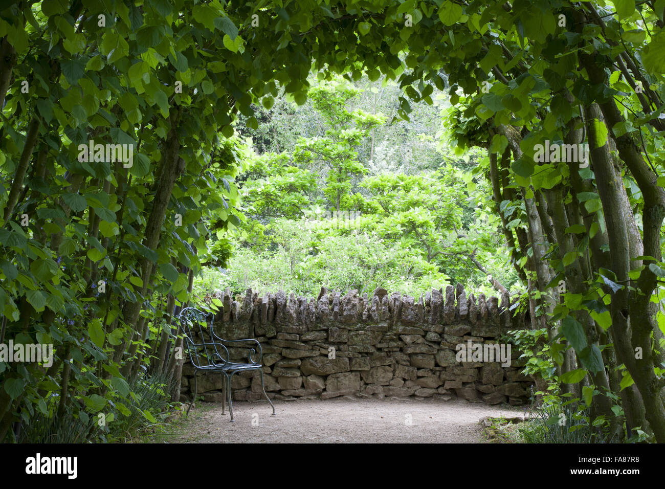 La calce Bower a Hidcote, Gloucestershire, in maggio. Foto Stock