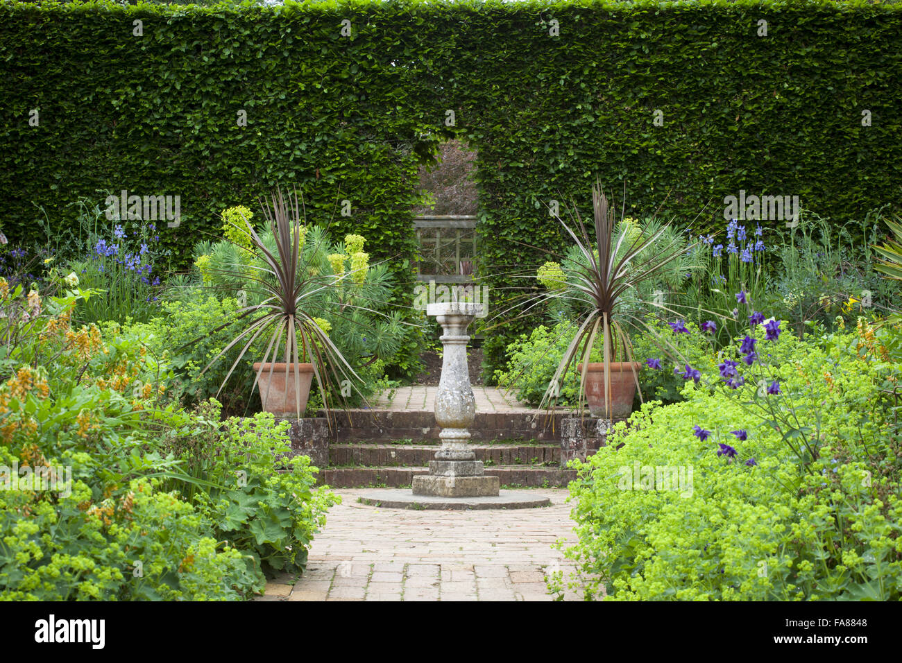 Cordylines in vasi intorno a Meridiana in Mrs Winthrop's Garden a Hidcote, Gloucestershire, in maggio. Foto Stock