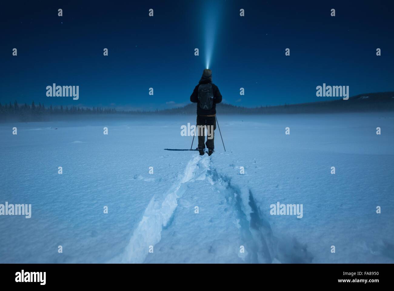 L uomo lo sci di fondo al chiaro di luna, Carmi Sci di Fondo Loop, Penticton, British Columbia, Canada Foto Stock