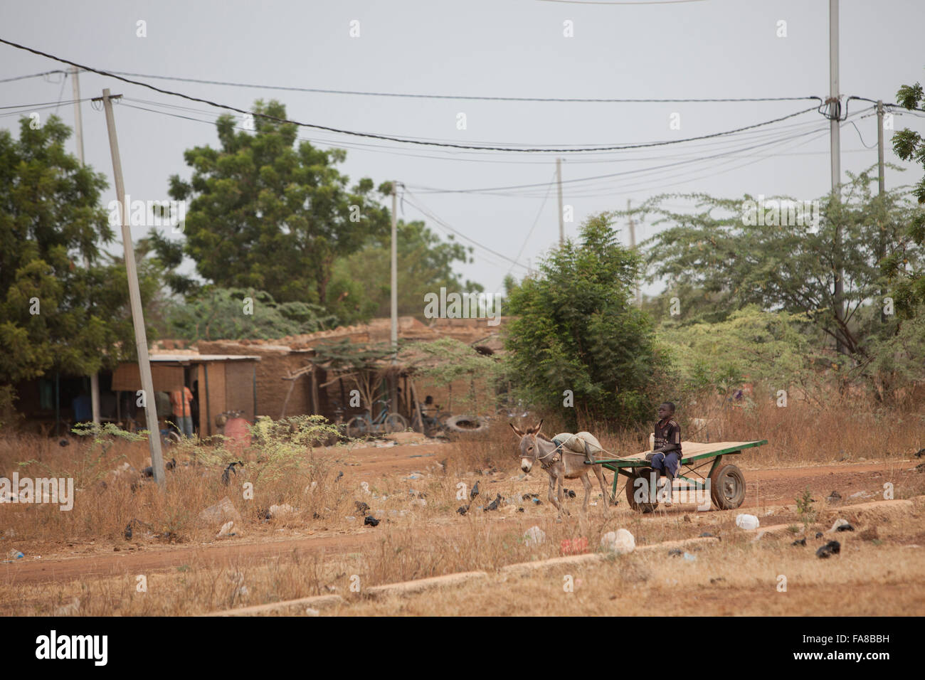 Un ragazzo aziona un asino-disegnato il carrello nella provincia Sourou, villaggio, Burkina Faso. Foto Stock