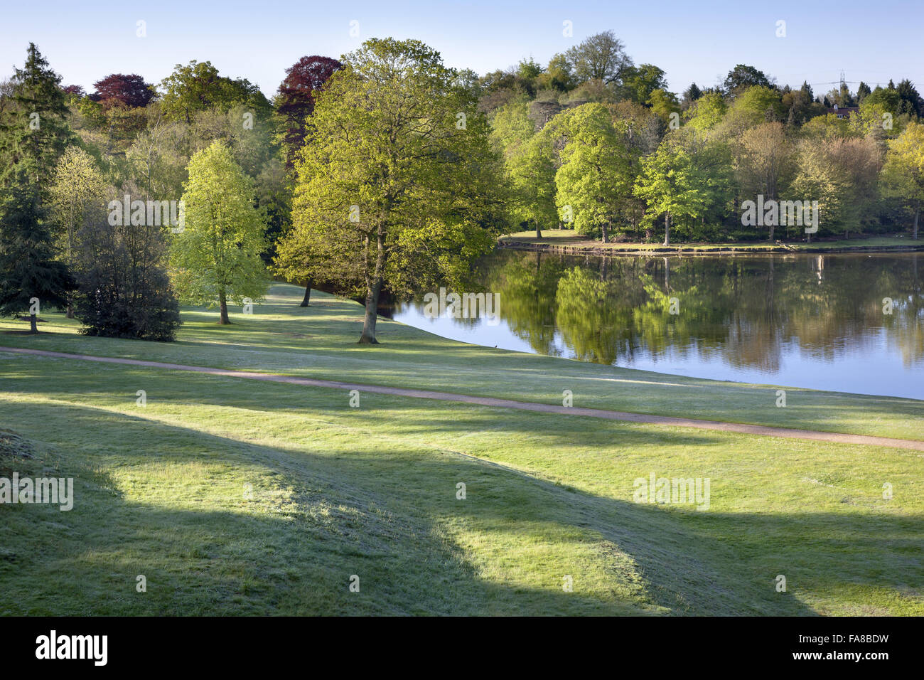 Vista dalla parte superiore dell'erba anfiteatro presso la Claremont Landscape Garden, Surrey. L'anfiteatro è stato creato intorno al 1722 da Charles Bridgeman. Foto Stock