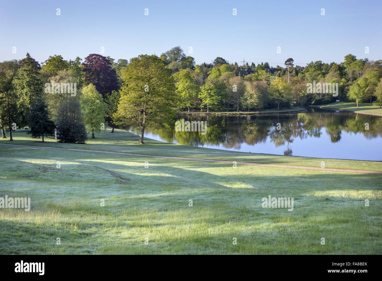 Vista dalla parte superiore dell'erba anfiteatro presso la Claremont Landscape Garden, Surrey. L'anfiteatro è stato creato intorno al 1722 da Charles Bridgeman. Foto Stock