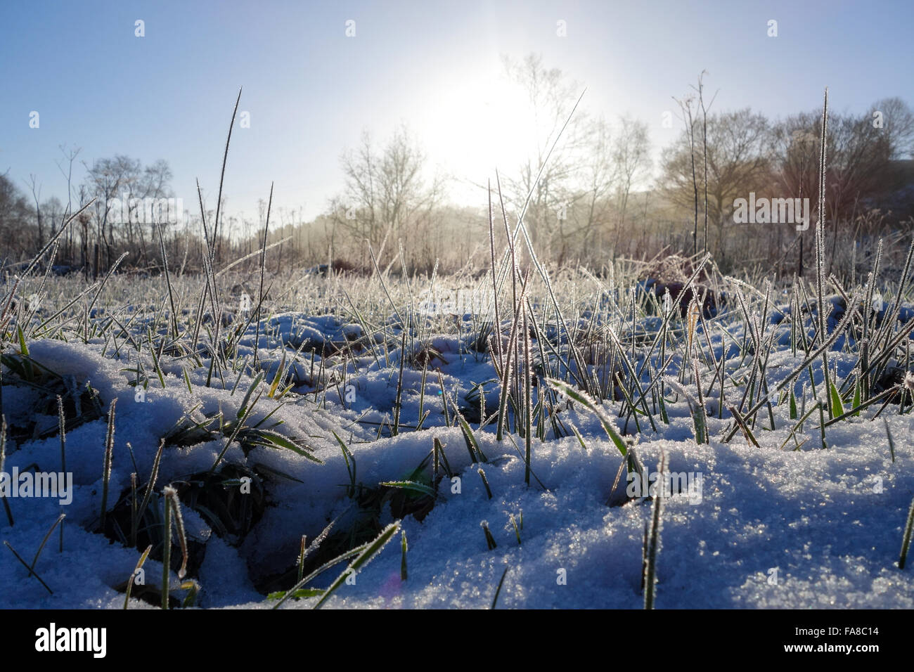 Un basso livello di colpo di sole che splende su un freddo gelido giorno di neve sul terreno Foto Stock