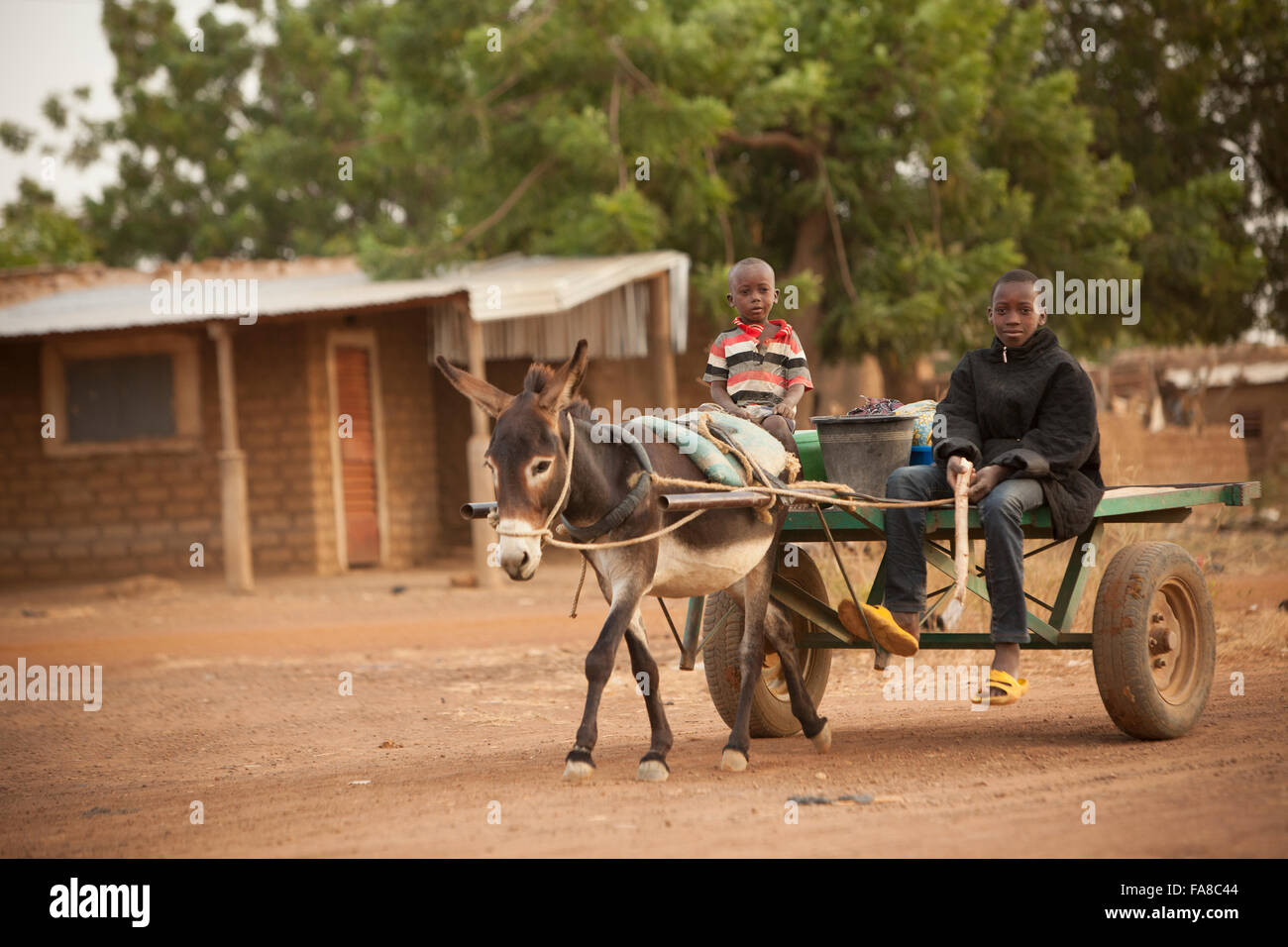Bambini ride in un asino-disegnato il carrello nella provincia Sourou, Burkina Faso. Foto Stock