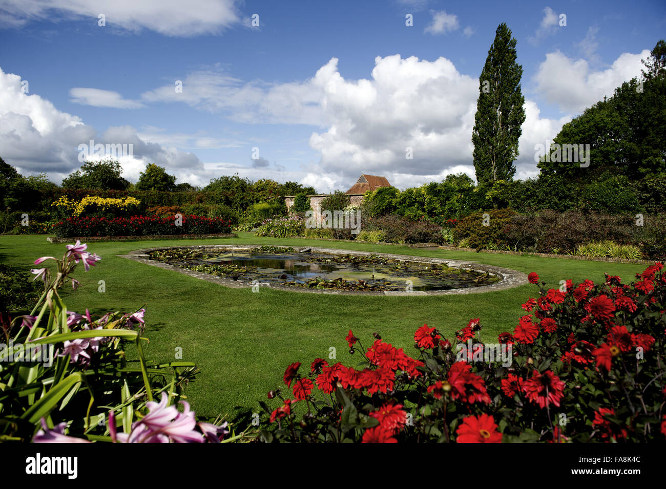 Il Giglio giardino in agosto a Barrington Court, Somerset. Foto Stock