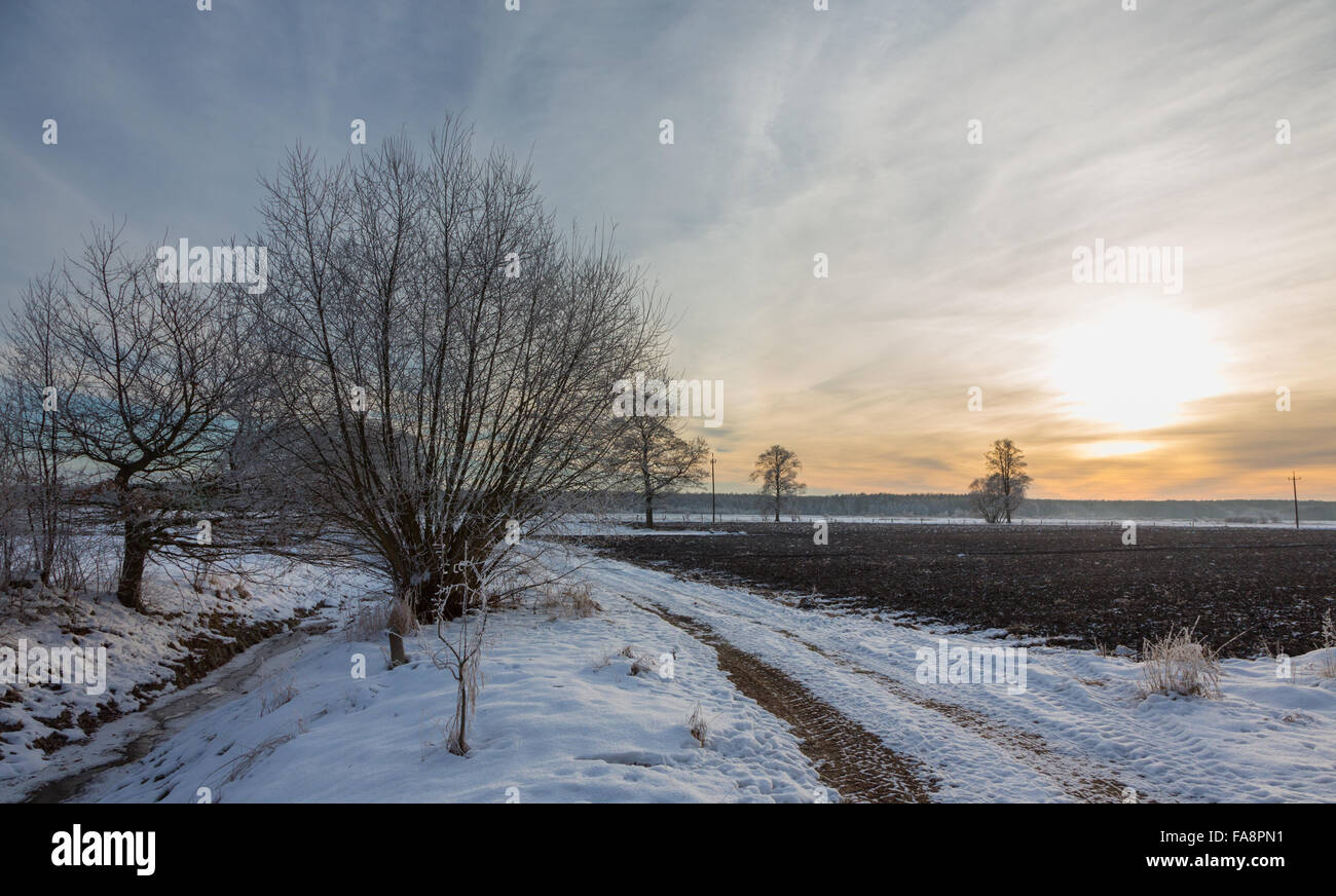 Inverno tramonto su prati e boschi con sun dietro il cloud,regione Podlasie,Polonia,l'Europa Foto Stock