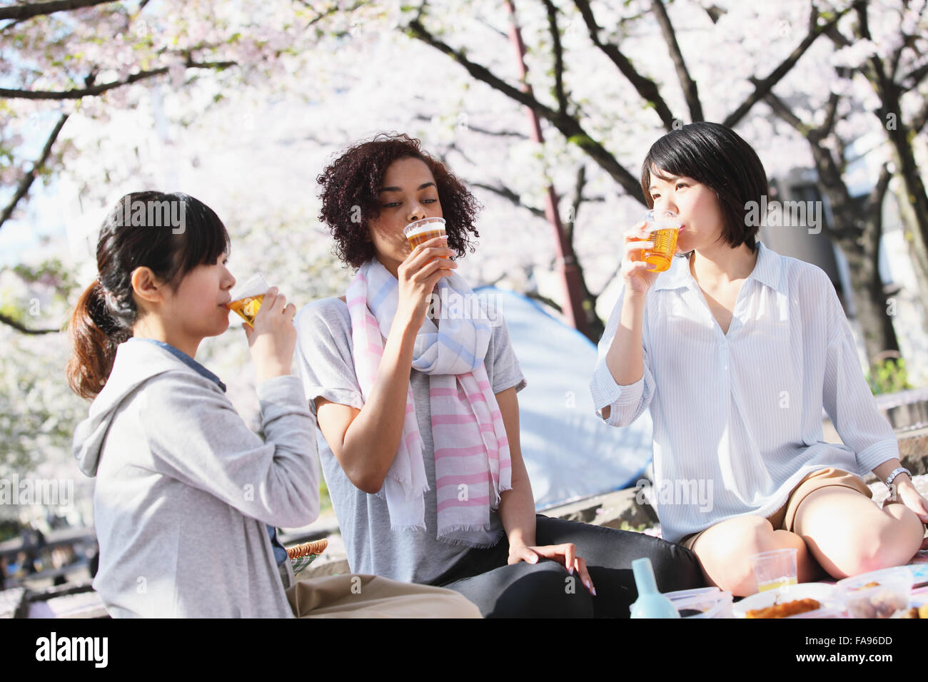 Multi-etnico gruppo di amici gustando la fioritura dei ciliegi in fiore nel Tokyo Foto Stock