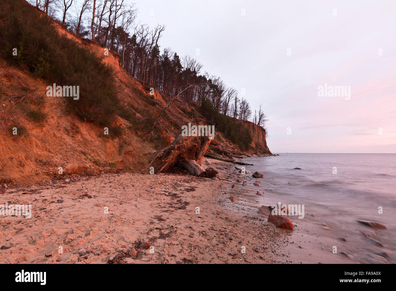 Redlowo cliff a Gdynia nella luce del mattino Foto Stock