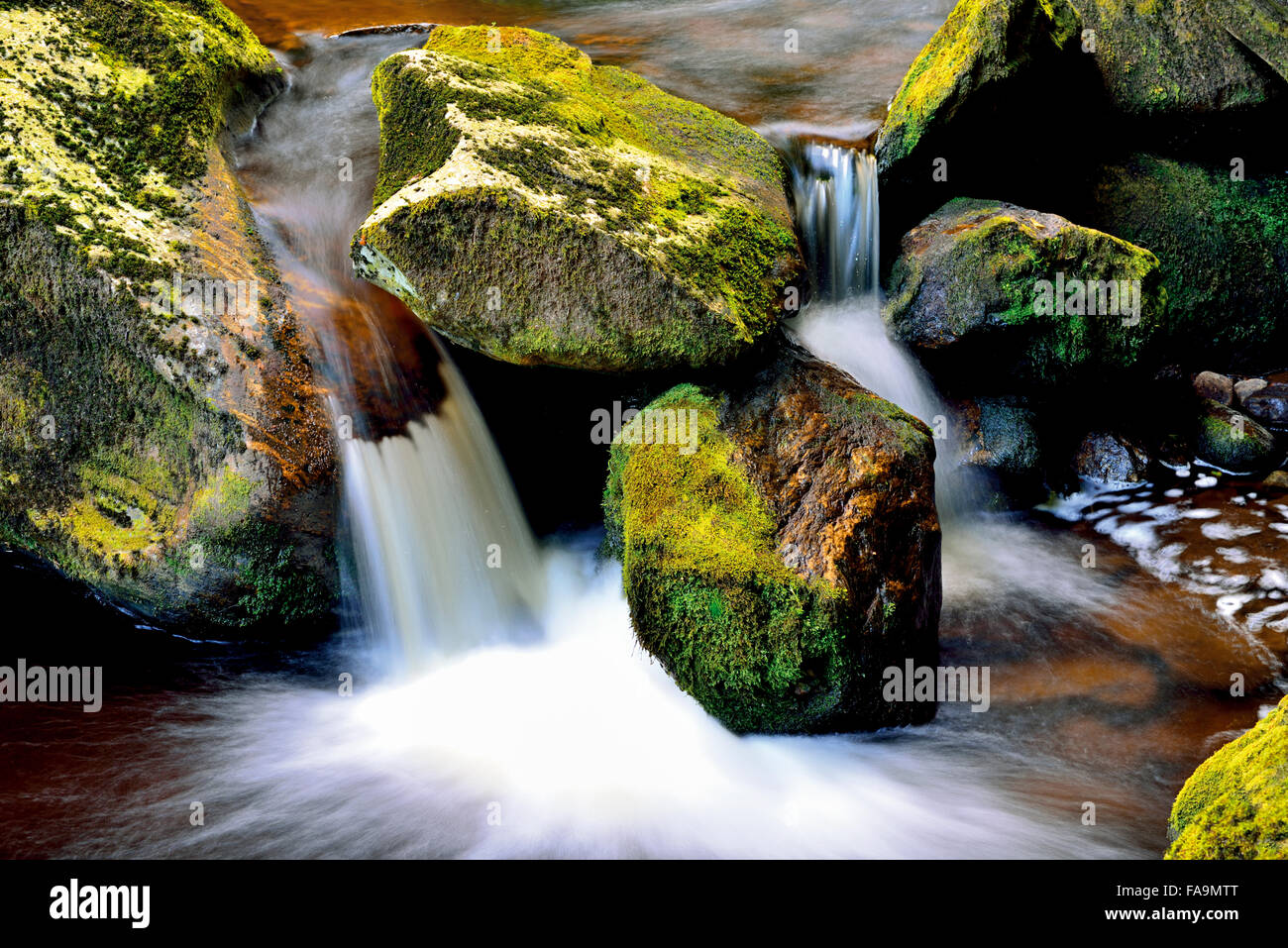 In Germania, in Baviera. Piccola cascata di un torrente di montagna nel Parco Nazionale della Foresta Bavarese Foto Stock