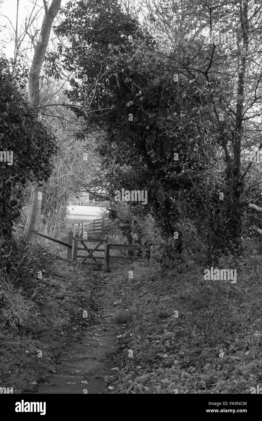 Una passeggiata invernale nelle vicinanze del Lacock village Wiltshire, Inghilterra REGNO UNITO Foto Stock