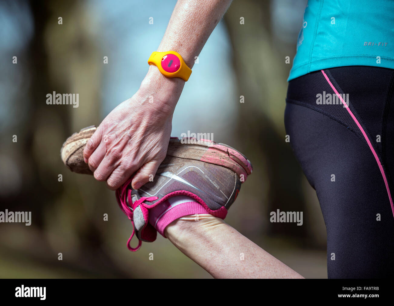 Un pareggiatore femmina indossando un tracker di attività di stretching prima di una corsa REGNO UNITO Foto Stock