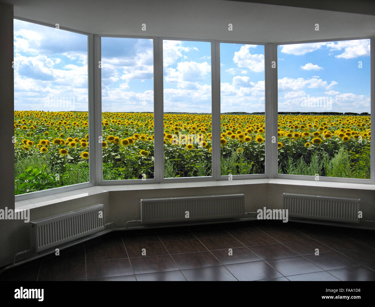 Camera con metallo-plastico di finestre che si affacciano sul campo di girasoli Foto Stock