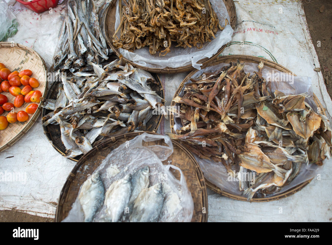 Mercato del pesce salato essiccato Myinkaba Myanmar // MYINKABA, Myanmar - i pesci secchi e salati sono esposti al mercato mattutino nel villaggio di Myinkaba, situato vicino all'antica città di Bagan nel Myanmar centrale. Il metodo tradizionale di conservazione dell'essiccazione e della salatura del pesce rimane una pratica comune nei mercati rurali del Myanmar, fornendo fonti proteiche che possono essere conservate senza refrigerazione. Il villaggio di Myinkaba si trova all'interno della zona archeologica di Bagan, un'area che contiene migliaia di templi buddisti e pagode risalenti all'XI-XIII secolo. Il mercato del villaggio serve ai residenti locali Foto Stock