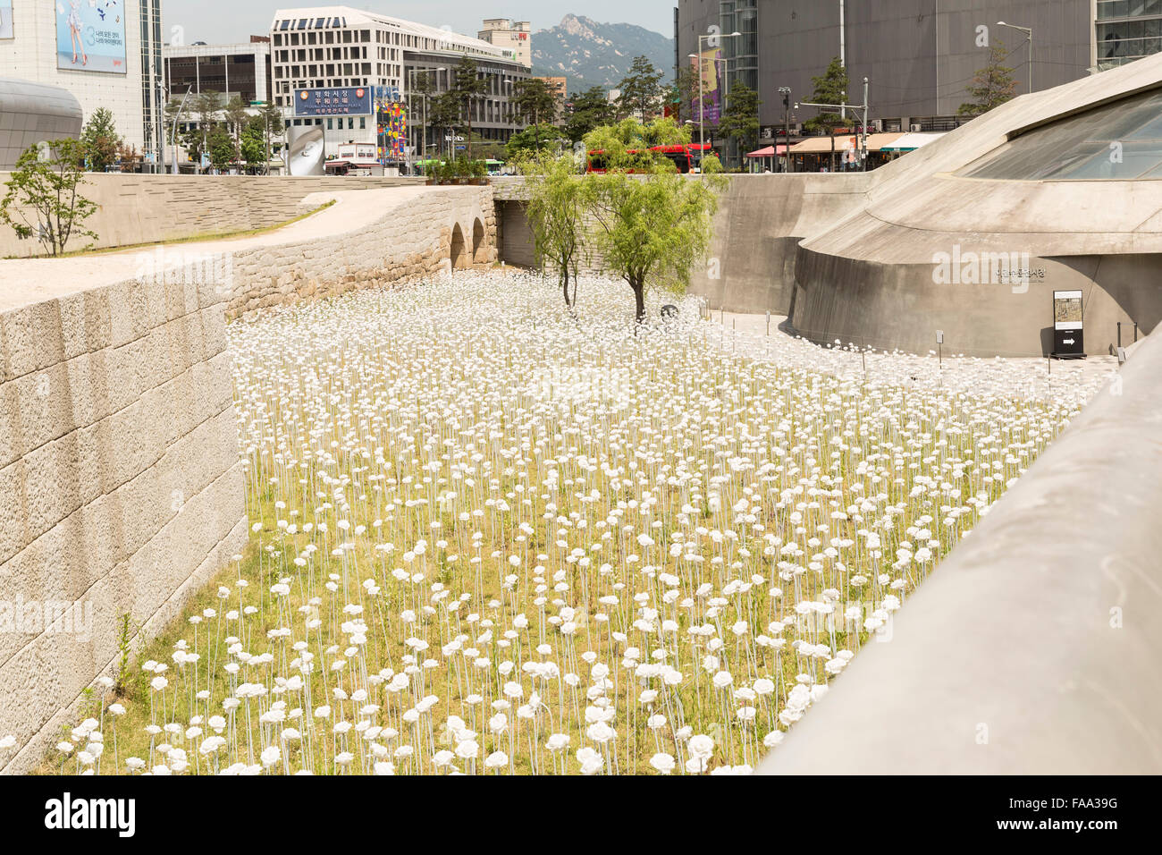 Fiore bianco giardino, Dongdaemun Storia & Cultura Park, design di Dongdaemun Plaza, Seoul, Corea del Sud. Inaugurato ufficialmente il M Foto Stock