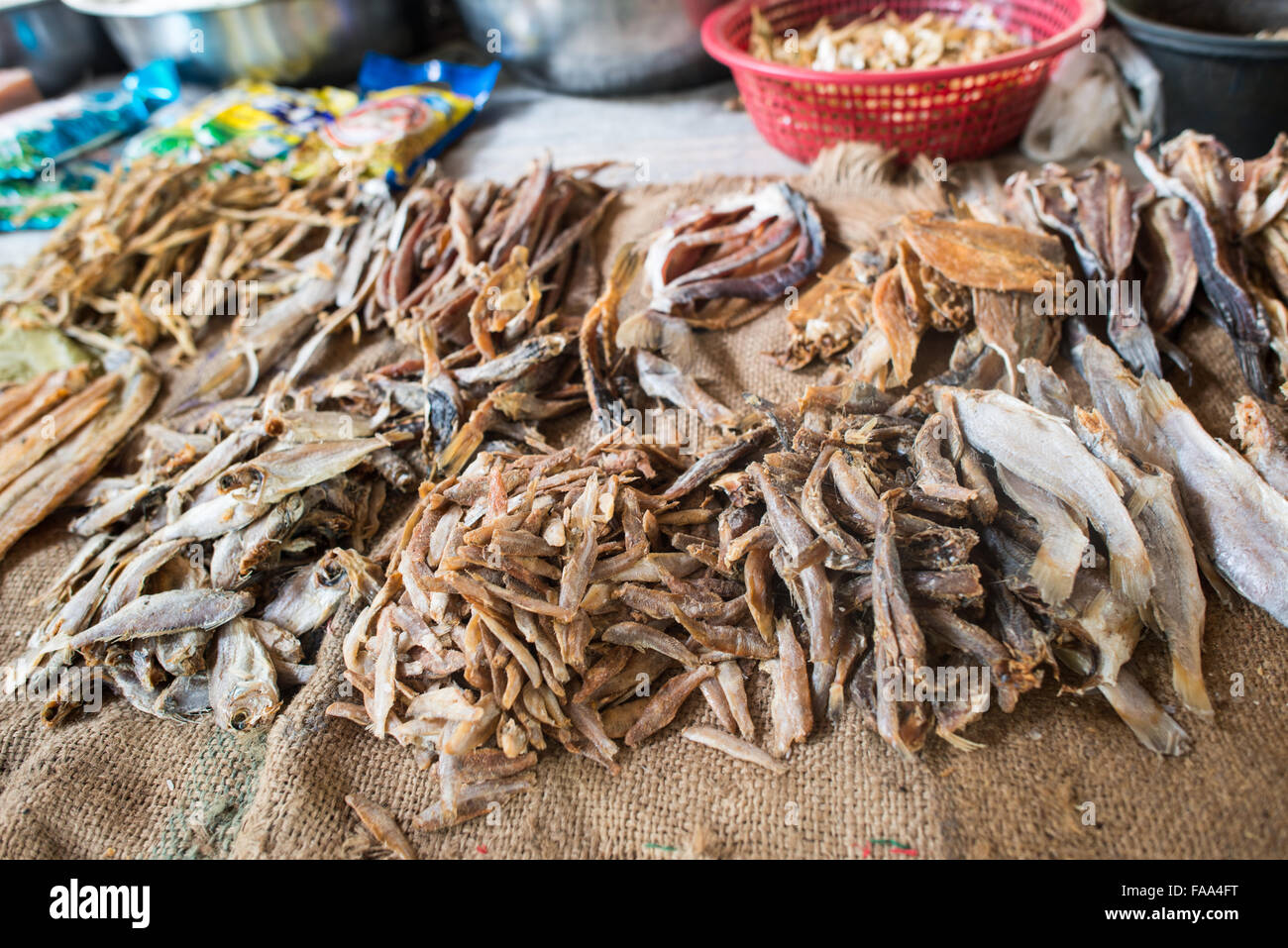 Pesce essiccato al mercato di Myinkaba Bagan Myanmar // MYINKABA, Myanmar - pesce essiccato e altri cibi conservati sono esposti al mercato mattutino nel villaggio di Myinkaba, situato vicino all'antica città di Bagan nella regione di Mandalay in Myanmar. I venditori locali organizzano prodotti freschi, verdure e cibi tradizionali lungo le bancarelle improvvisate che fiancheggiano le strade del villaggio. Il villaggio di Myinkaba si trova all'interno della zona archeologica di Bagan, un'area che contiene migliaia di templi buddisti e pagode risalenti all'XI-XIII secolo. Il mercato del villaggio serve la comunità locale e fornisce il tradizionale Burmes Foto Stock