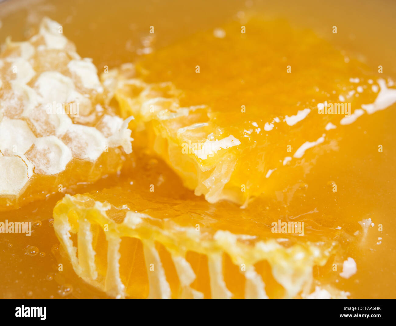 Il miele fresco closeup Foto Stock