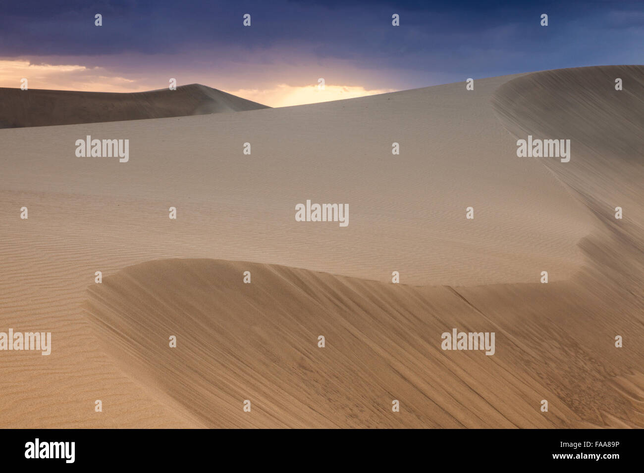 Dune di Maspalomas. Maspalomas, Gran Canaria Isole Canarie Spagna Foto Stock