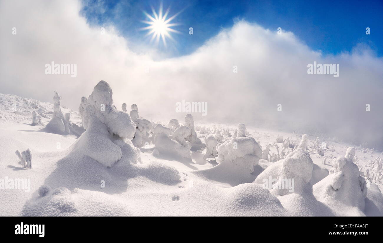 In inverno la neve paesaggio con un sole sul cielo blu, monti Karkonosze, Polonia Foto Stock