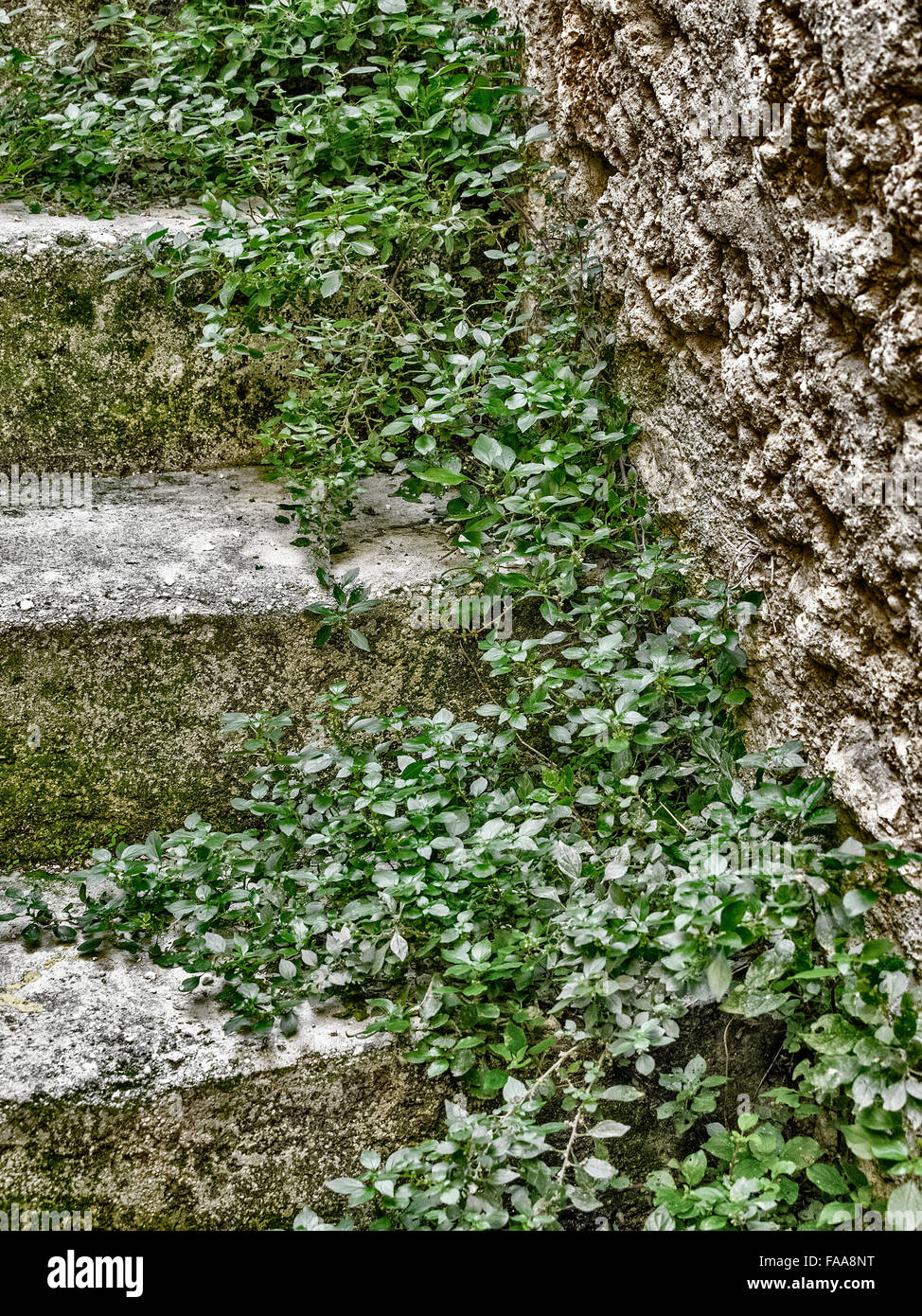 Usura di gradini di pietra in Abruzzo, Italia Foto Stock