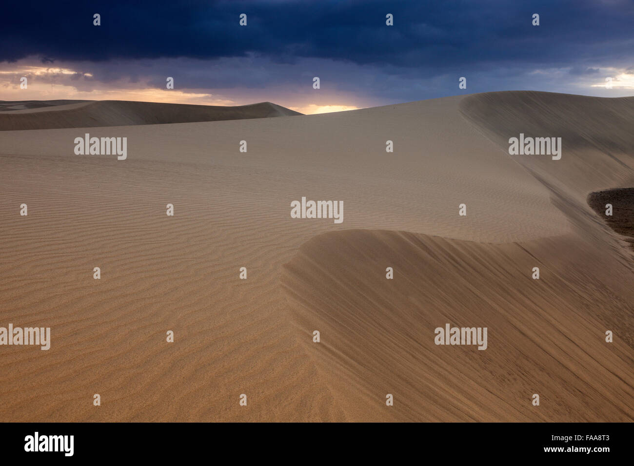 Dune di Maspalomas. Maspalomas, Gran Canaria Isole Canarie Spagna Foto Stock