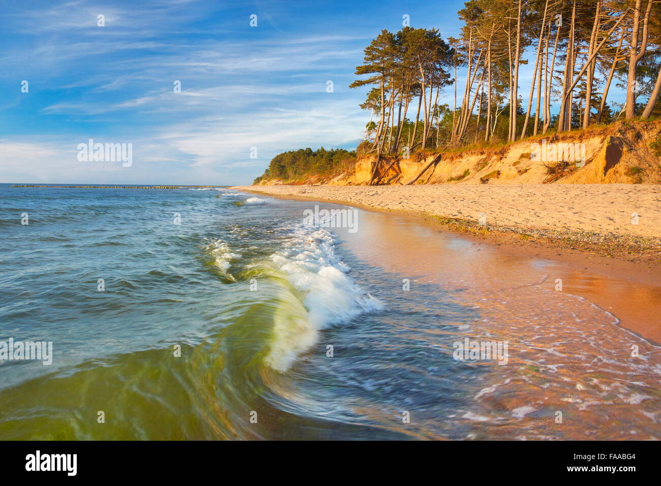 Mar Baltico paesaggio, Pomerania, Polonia Foto Stock