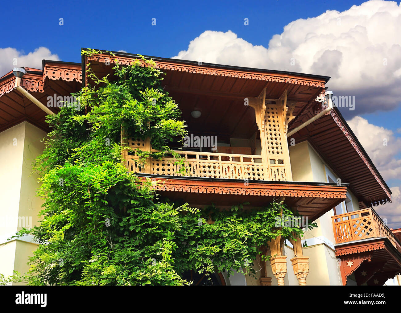 Palazzo d'epoca con balcone in legno e impianto sulla parete anteriore Foto Stock