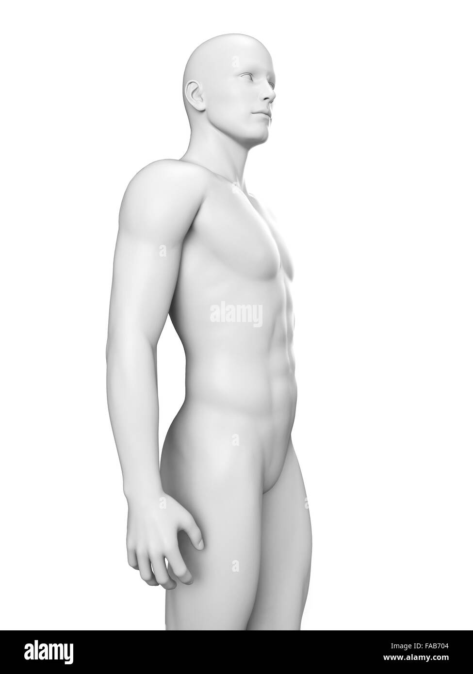 Il corpo umano, illustrazione del computer. Foto Stock